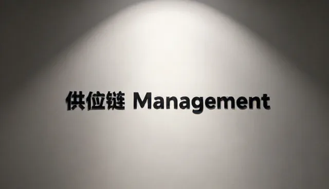 供应链管理中的运营策略检查要点与适用条件分析